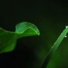 伤心夜雨的头像