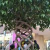 阿莲的头像