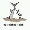呜呜的托马斯的头像