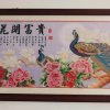 浮云的头像