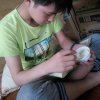 小英的头像
