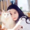 隐藏的头像