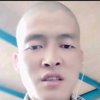 毒狼的头像