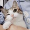 Moon阿熏(*ฅ́˘ฅ̀*)的头像
