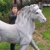 迷歌的头像