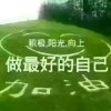 低调的繁华的头像