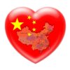 雪豹的头像