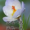 珊瑚‖三子？的头像