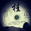 人心难测的头像