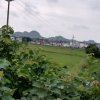 望明月的头像
