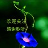 美丽人生的头像