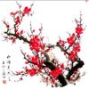 张丽梅的头像