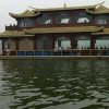 情缘的头像