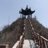 微笑的霞的头像