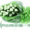 淑萍的头像