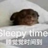 SCC ke110y的头像