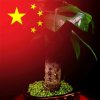 舍得【暂停】的头像