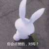 梦花如雪的头像