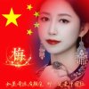 语蝉一树梅的头像