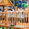 短发飘飘的头像