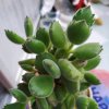 龙霸飞哥的头像