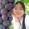阿莲的头像
