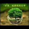 喜相逢的头像