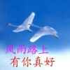 回眸往事的头像