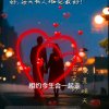 紫蝶依萍的头像