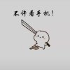 莲儿的头像