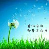 阿坤LSK的头像