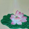 ♚梵呗冰莲花的头像