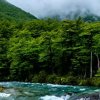 永远幸福的头像