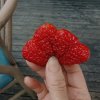 红太阳的头像