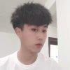 注定孤独终老的头像