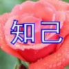 知己的头像
