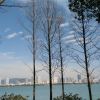 木子的头像