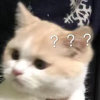 神栎凌˭̡̞(◞⁎˃ᆺ˂)◞₎₎=͟͟͞͞˳的头像