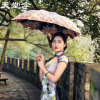 天堂伞的头像