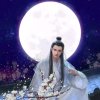 潇湘夜雨的头像