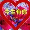 今生有你的头像
