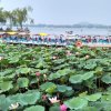 平安的头像
