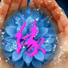 .橙子的头像
