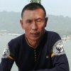 梧桐叶的头像