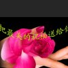 开心就好，我是谁？？？的头像
