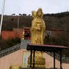 平安一生的头像