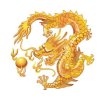 游戏人生的头像