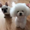 永远幸福的头像