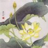 淡然的头像