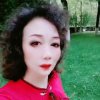 qingIing的头像